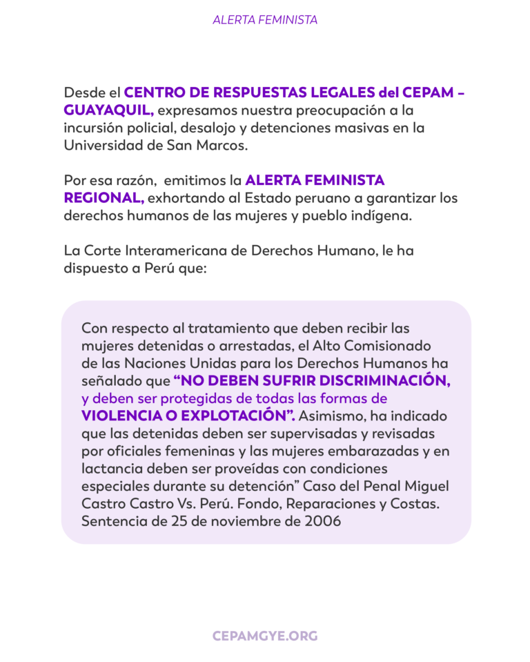 ALERTA FEMINISTA PERU-02