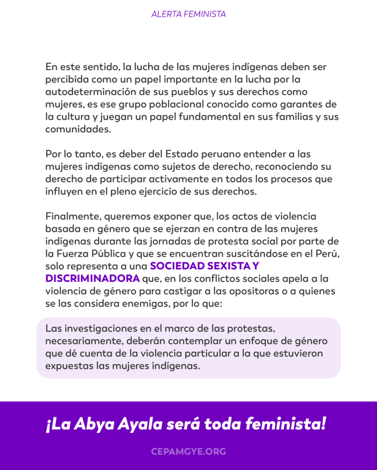 ALERTA FEMINISTA PERU-03